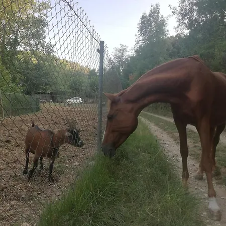 Masia Con Encanto En El Bosque A 10 Min De Girona Дом отдыха